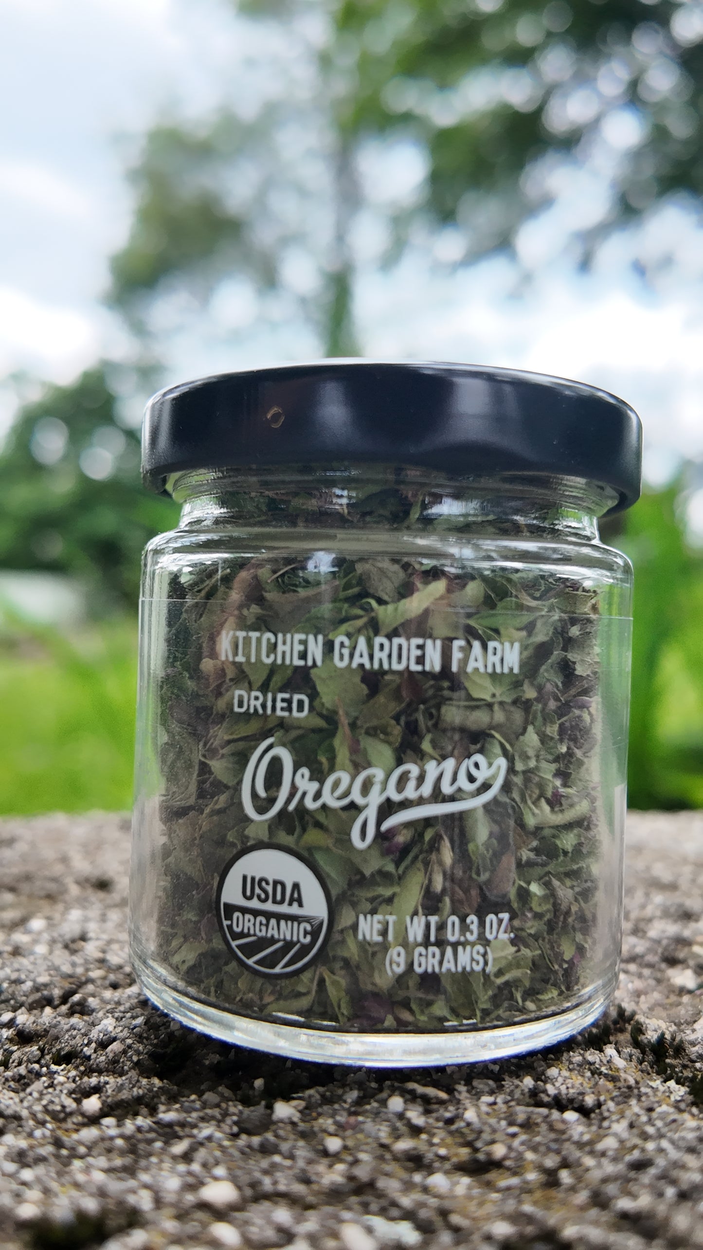 Organic Oregano