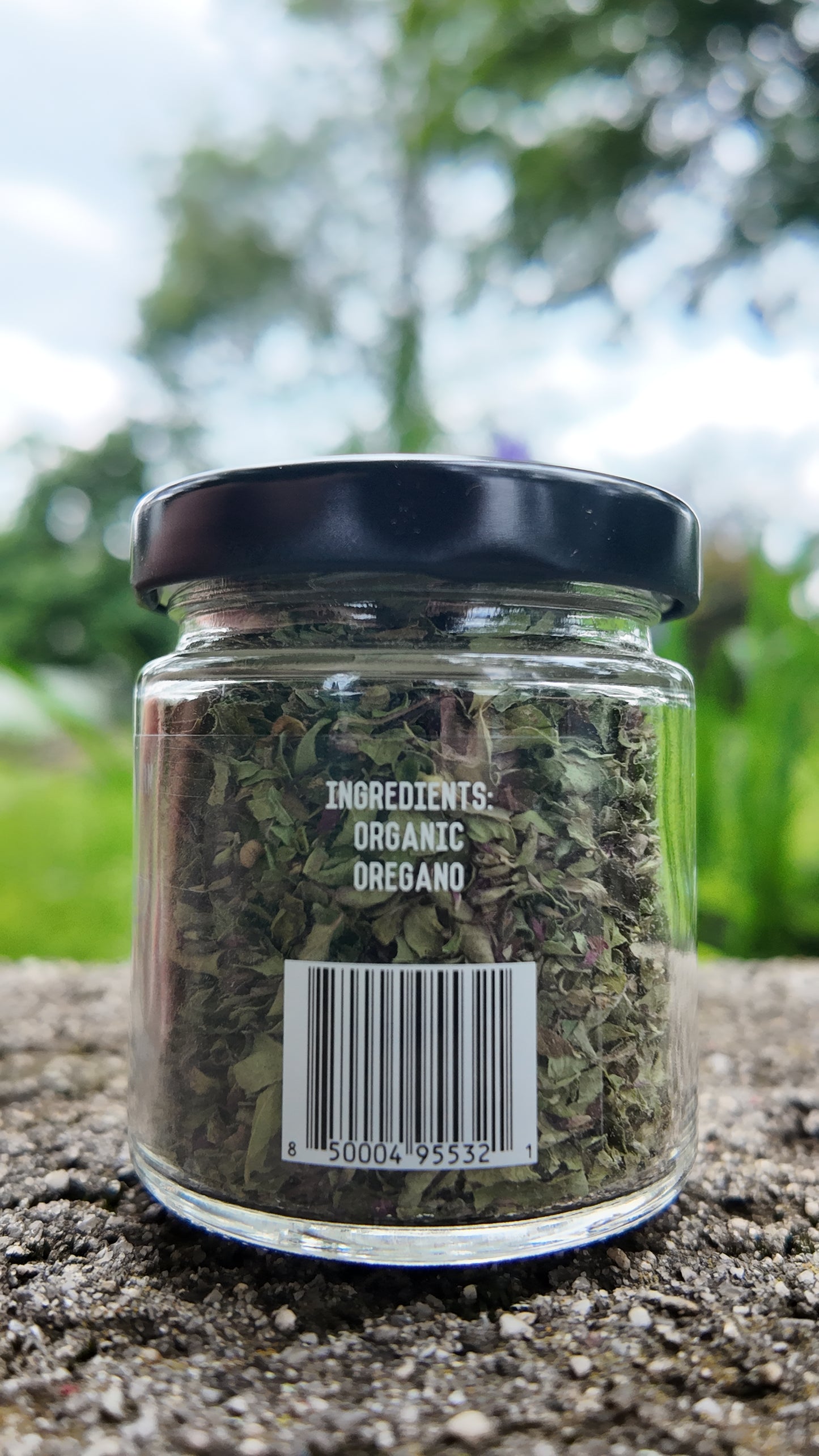 Organic Oregano