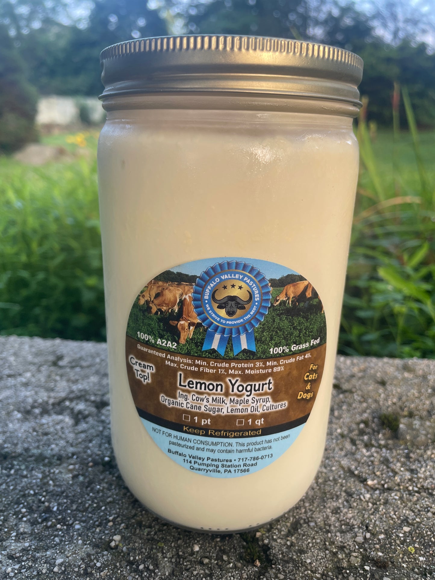 100% Grass-fed Lemon Yogurt