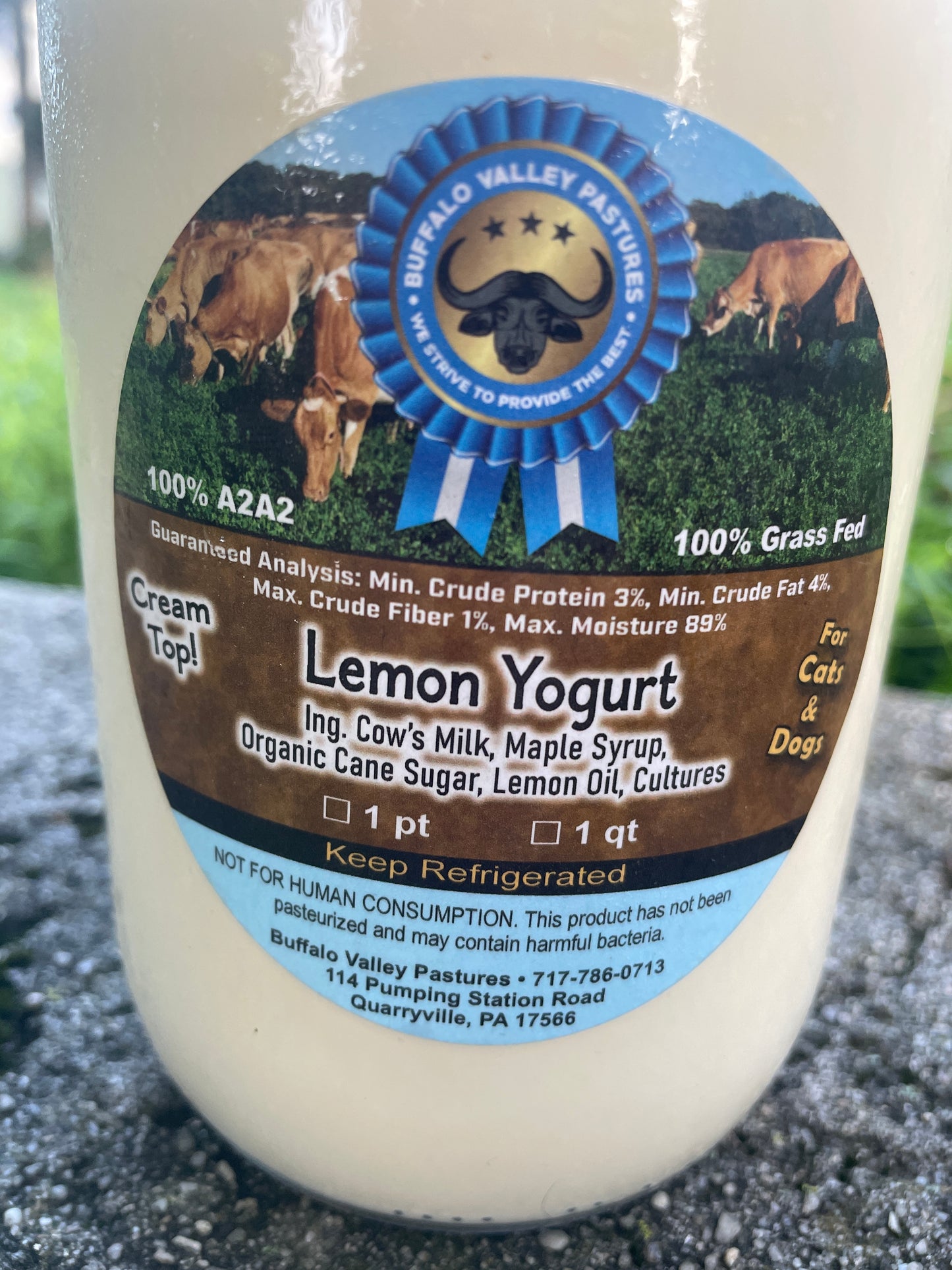 100% Grass-fed Lemon Yogurt