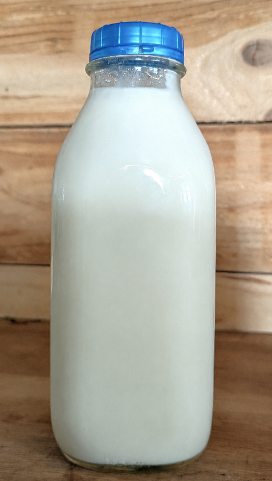 Sheep Kefir | Quart