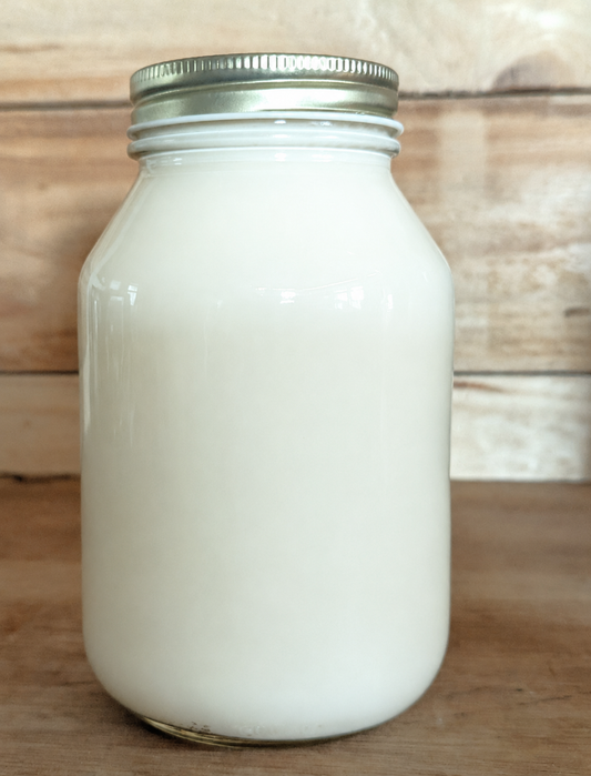 Sheep Milk Yogurt