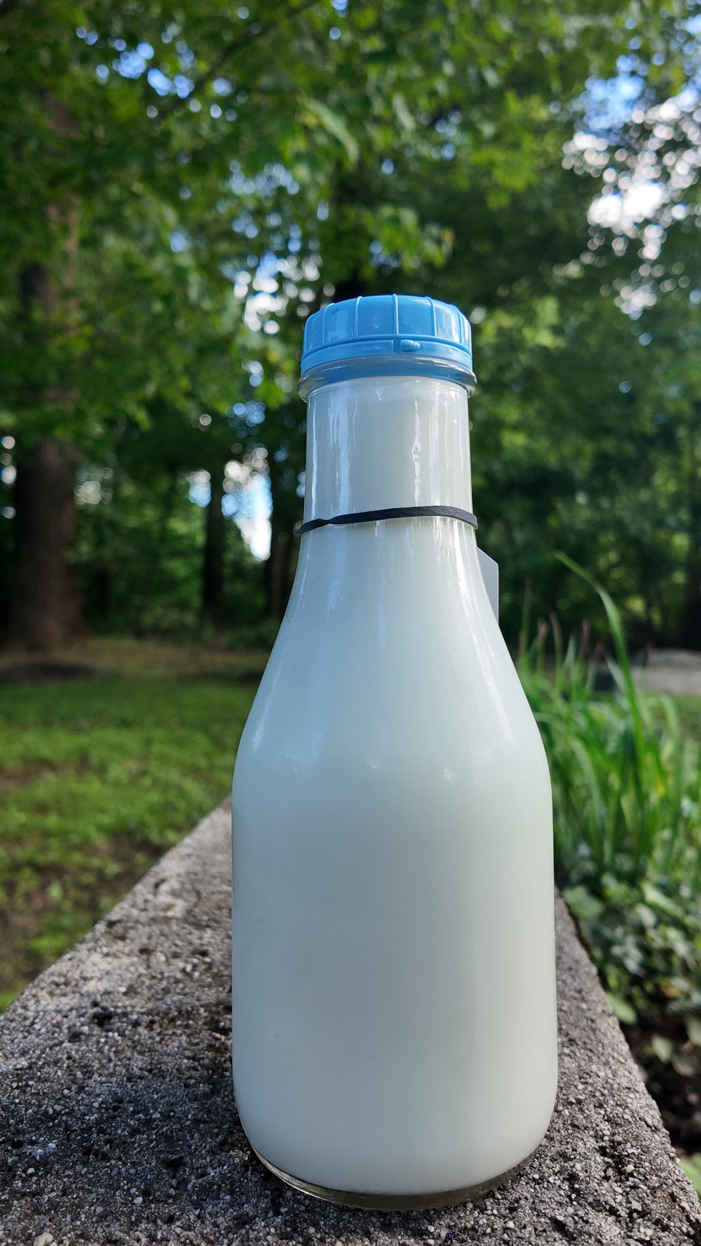 Pasture raised Sheep's Milk
